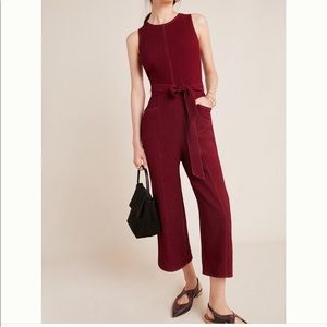 NWT Greylin jumpsuit from Anthropologie